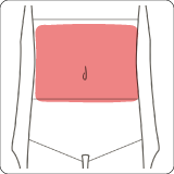 腹部全体のイメージ